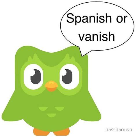 duolingo memes funny|duolingo spanish memes.